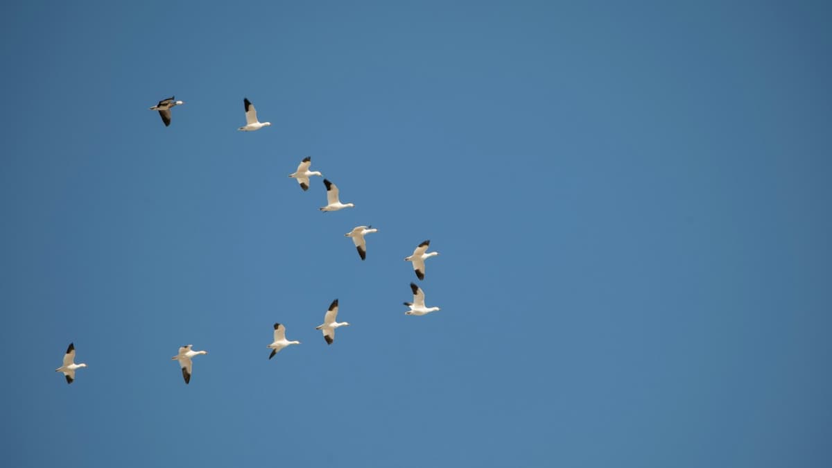 Secure Cloud Migration: A Comprehensive Guide