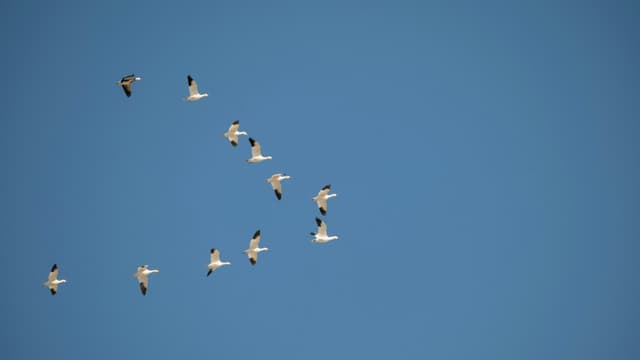 Migração para Nuvem Segura: Um Guia Abrangente